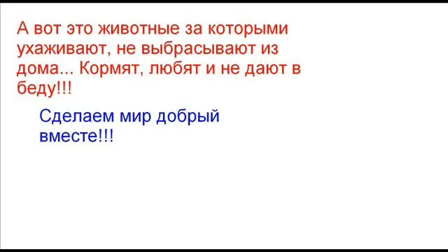 Бедные! смотреть онлайн