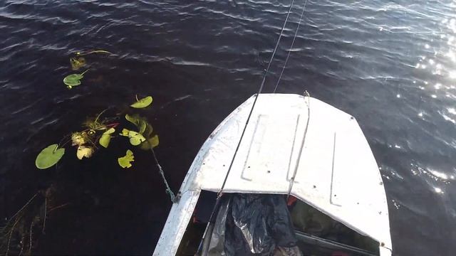 ТРАКТОРА ТОНУТ,ВОДА КИПИТ,РЫБА ЛОВИТСЯ! ПОЧЕМУ ЭТО ПРОИСХОДИТ В МАЛЕНЬКОЙ КАРЕЛЬСКОЙ ДЕРЕВНЕ?! смотреть онлайн