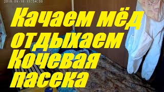 Аномально тяжкий год за 36 лет пчеловодства.Итог качки мёда с Белой акации и разнотравия. смотреть онлайн