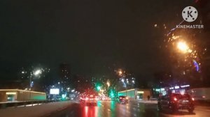 ?❄️Новогодний влог с Басиками❄️?