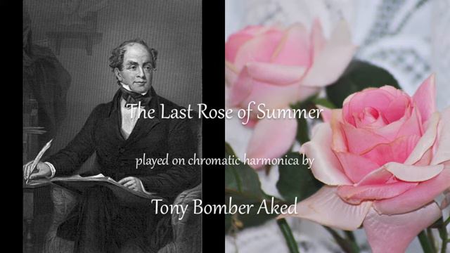 The Last Rose of Summer played by Tony Bomber Aked on chromatic harmonica смотреть онлайн