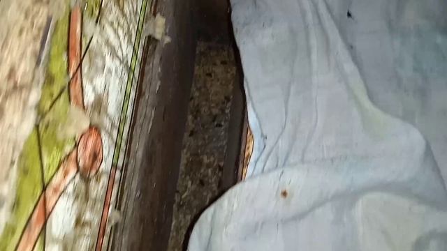 Как зимуют пчёлы в омшанике?! Декабрь! смотреть онлайн