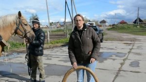 Практика: как запрячь лошадь в русскую дуговую упряжь