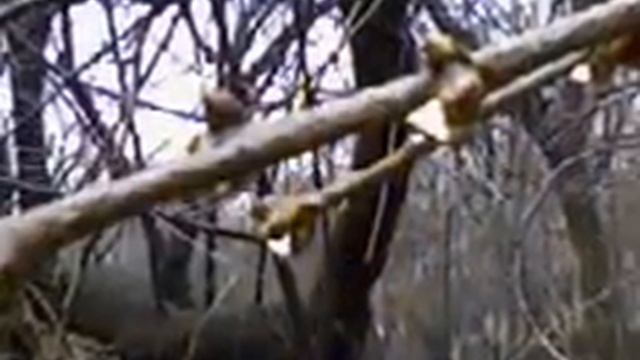 Theme From Paradise  - Fausto Papetti