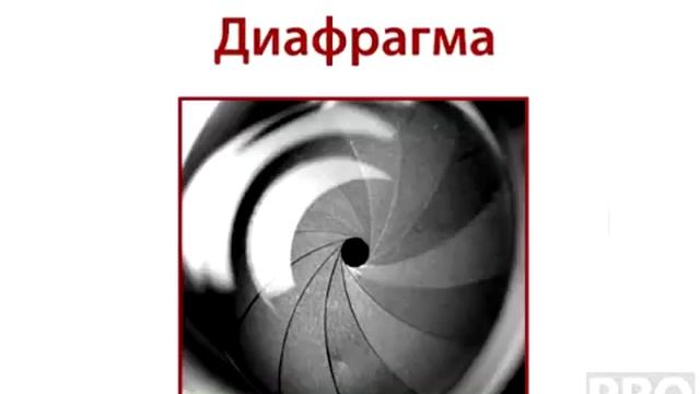 Что такое Экспозиция смотреть онлайн