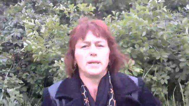 КАК ОБЕЗВРЕДИТЬ ЛЮБОГО НЕДОБРОЖЕЛАТЕЛЯ. ЛАЙФХАК! смотреть онлайн