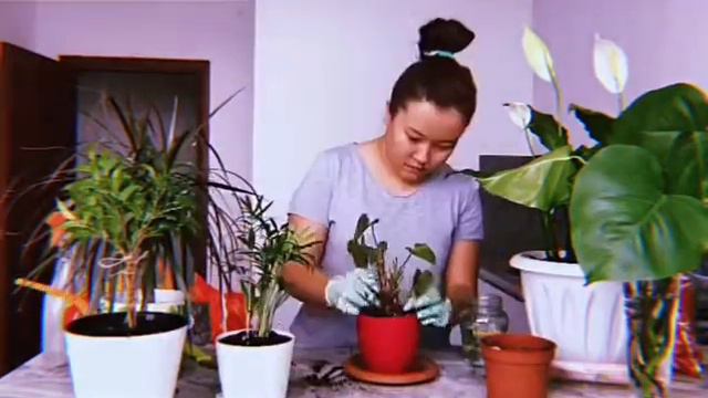 Забавы ради смотреть онлайн