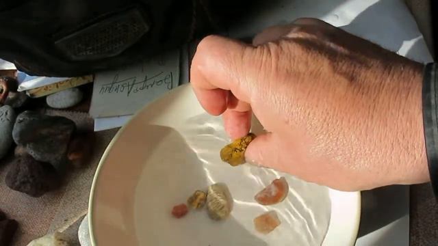 (433) первые в 2019 находки из океана Тетис смотреть онлайн