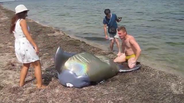 Таврида-2016 спасение дельфина смотреть онлайн