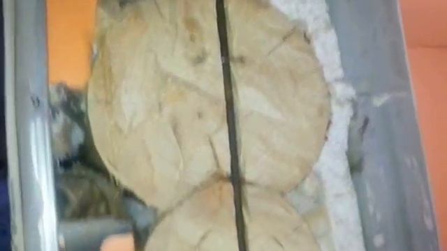 Как вырезать дверной проем в срубе видео смотреть онлайн