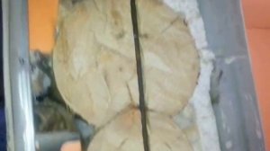 Как вырезать дверной проем в срубе видео