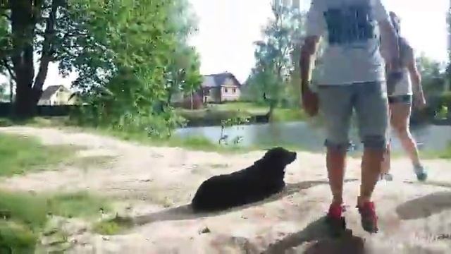 Просыпайся, просыпайся, просыпайся друг смотреть онлайн