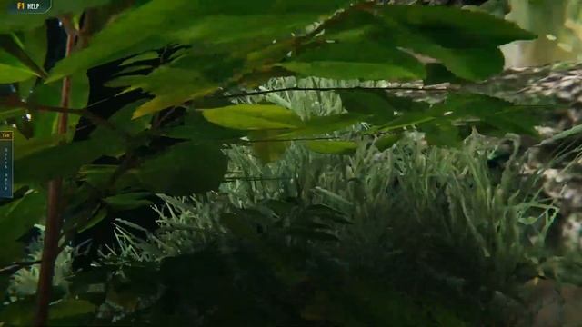 Ultimate Fishing Simulator 2(UFS2)-САМЫЙ ЧЕСТНЫЙ ОБЗОР смотреть онлайн