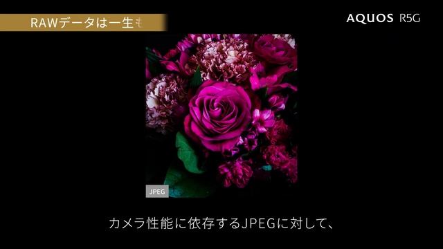 AQUOS R5G × Adobe Photoshop Express　～RAWデータ撮影～ смотреть онлайн