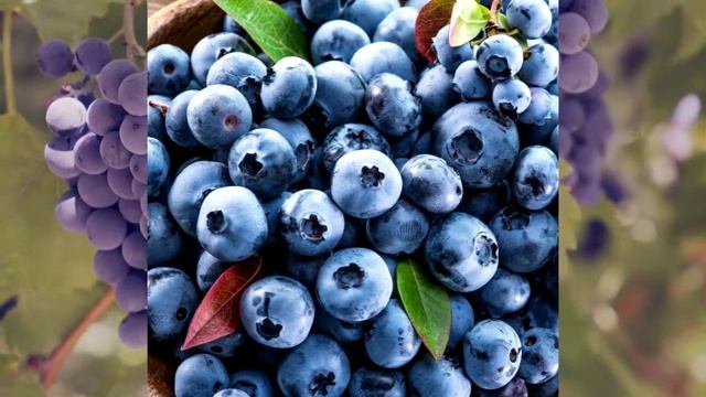 Самые полезные сочетания продуктов питания | Пищевая синергия смотреть онлайн