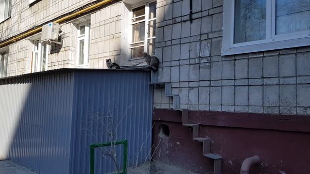 Мастерим легкий дом