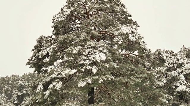 Снегопад смотреть онлайн