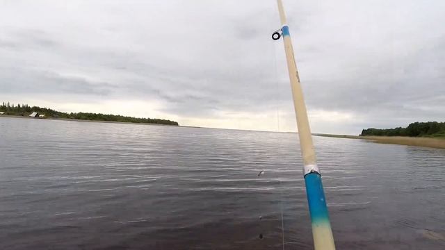 Рыбалка на донки. Эта лучшая насадка для ловли крупного судака.ЖОР СУДАКА В ИЮНЕ. смотреть онлайн