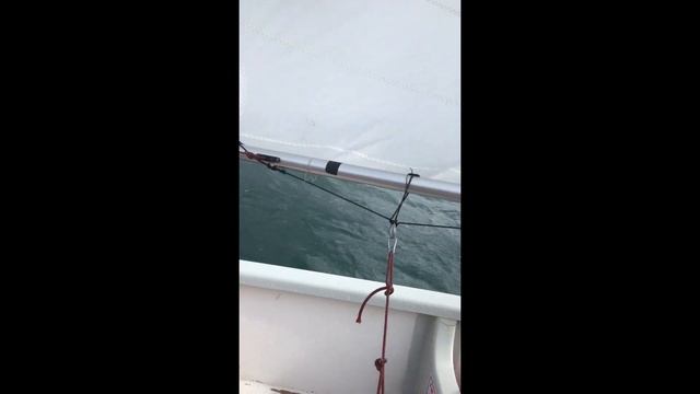 Парусные соревнования в Геленжике ,,31 Геленджитская регата’’ смотреть онлайн