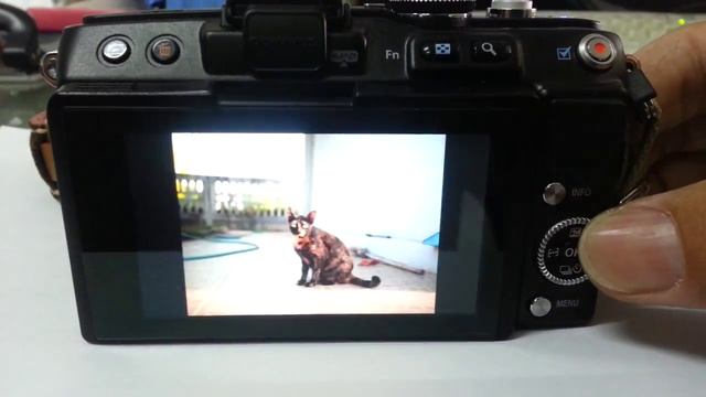 อาการเสียของไดอัลวีล E-PL5 смотреть онлайн