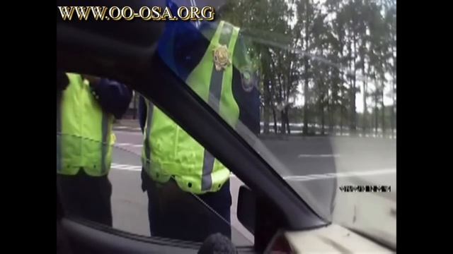 ОХОТА НА ИНОСТРАНЦЕВ 2. ГАИ ДПС. ОСА УСТЬ-КАМЕНОГОРСК смотреть онлайн