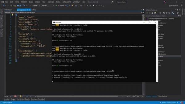How to use NPM in Blazor