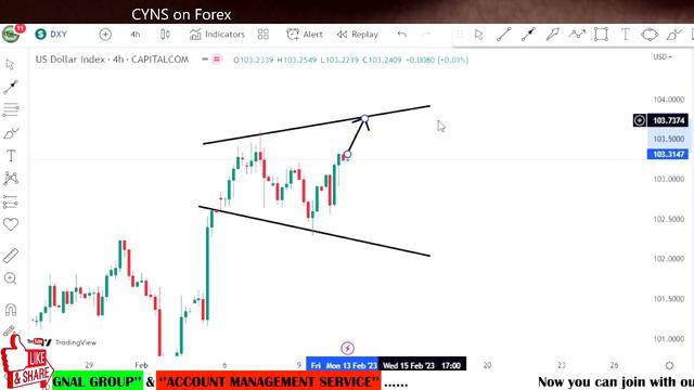 DXY | US Dollar Index Weekly Technical Analysis for 13-17 February 2023 by CYNS on Forex смотреть онлайн