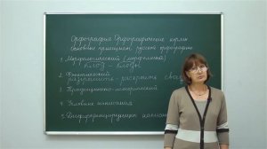 Русский язык. Орфография. Орфографические нормы. Основные принципы русской орфографии