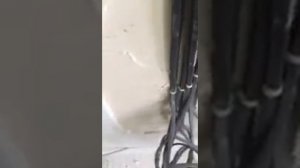 Почему бухтит и отслаивается гипсовая штукатурка