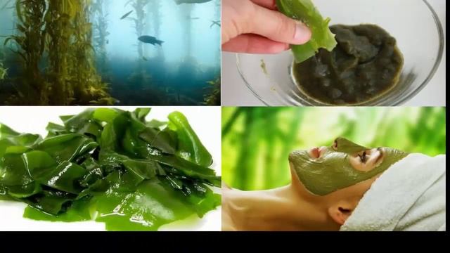 ламинария японская(морская капуста) смотреть онлайн