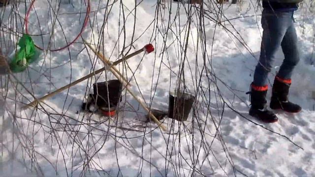 Зимний ТурФест-2016 на Зелёном острове в Омске. 31.01.2016 смотреть онлайн