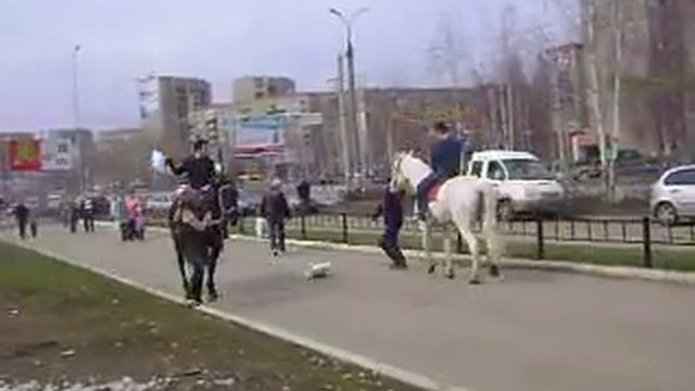 MOV01311 21.04.2013 Ижевск около Радиотехники лошади смотреть онлайн