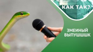 Ужи кусаются или нет? Как змеям удается быть ядовитыми? // «КАК ТАК?» Выпуск 19 Ч.1