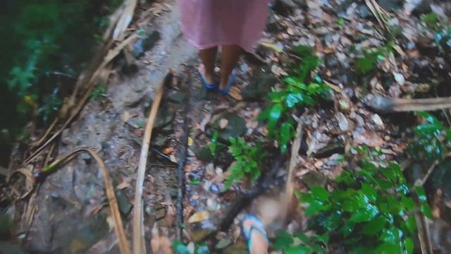 Гігантська сколопендра укусила за палець по дорозі до водопаду смотреть онлайн