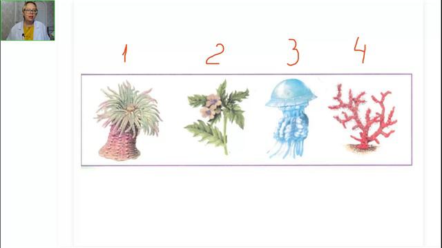 Интегрированный урок 3 класс. ОУ 09.09.2024