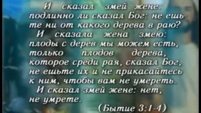 Человек и бессмертие смотреть онлайн