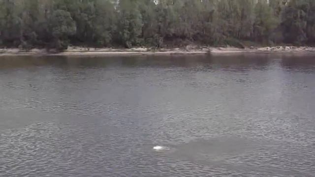 Реакция 0,5 кг натрия с водой