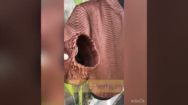 Бомбер из натуральной кожи питона смотреть онлайн