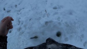 РЫБАЛКА НА НОВОМ ПРУДУ ,, РАСКАТЫ’’ В ТУЧКОВО|ЛОВЛЯ ФОРЕЛИ НА ПАСТУ