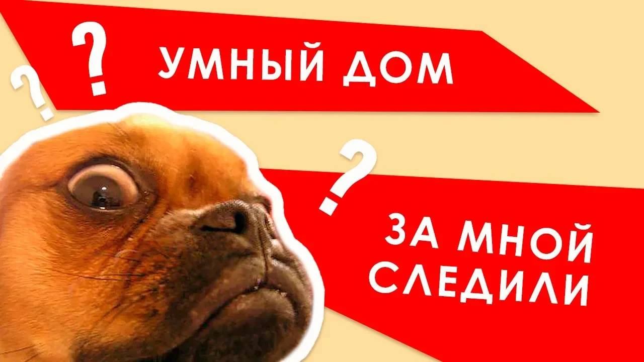 Дистанционный контроль за домом. Видеонаблюдение и Gsm управление. EctoControl