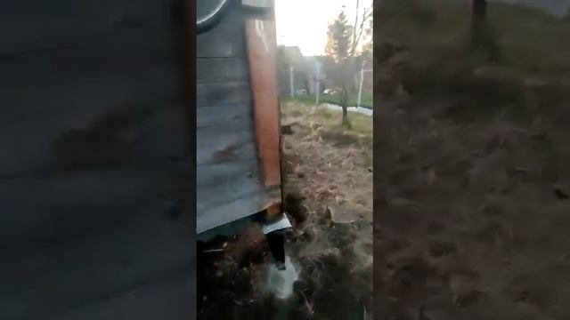 Укрепление фундамента винтовыми сваями | Подъем дома на домкратах смотреть онлайн