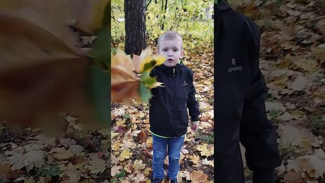 Осень. А Яранова. 1 класс смотреть онлайн