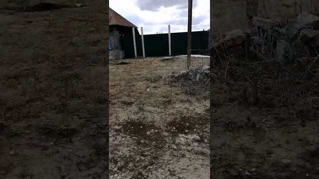 Холстовка Павловский район Ульяновской области N2 смотреть онлайн