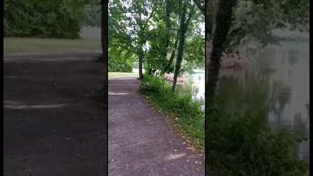 Дворец Монрепо, Людвигсбург смотреть онлайн