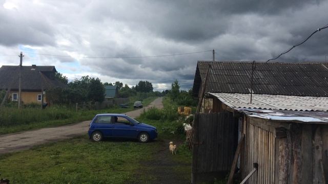 Без названия