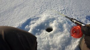 Зимние блесна на судака.  Рыбалка на новые блесны из Китая.