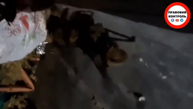 В Запорожье спасли летучих мышей. смотреть онлайн