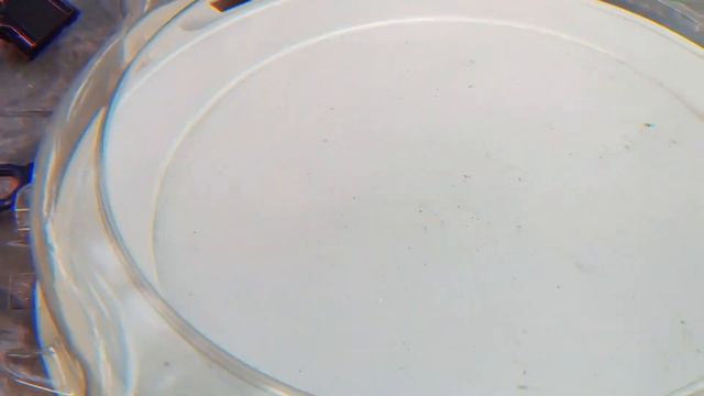 BEYBLADE METAL VS SUPERKING 2021 смотреть онлайн