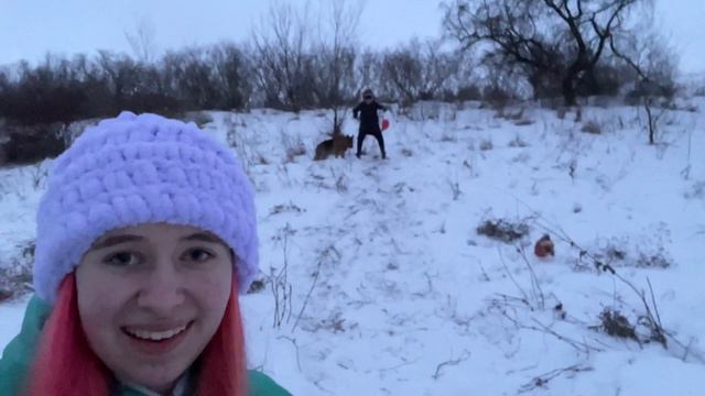 ВЛОГ! Съехали со страшной горки на попе. Моя Овчарка научилась биться хвостом! DiLi Play Vlog смотреть онлайн