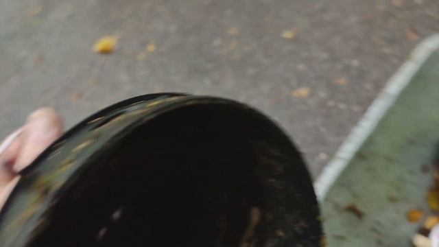 Садовый пылесос Ryobi RBV3000CESV , мощная воздуходувка с сюрпризом смотреть онлайн